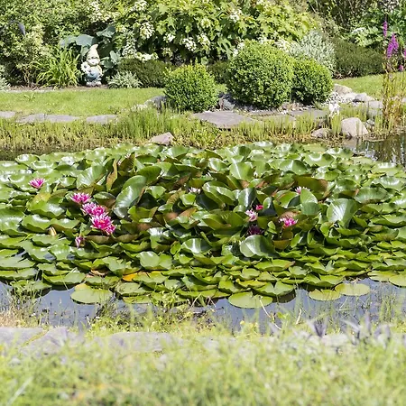 Uns Droomhus * Gager